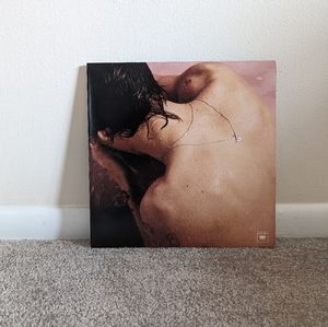Harry Styles Vinyl Record